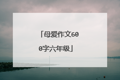 母爱作文600字六年级