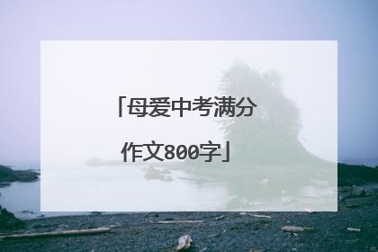 母爱中考满分作文800字