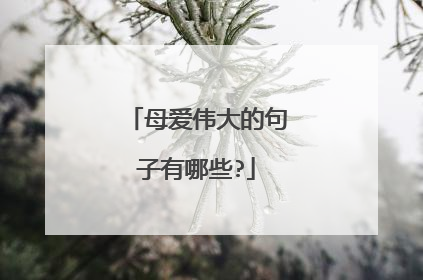 母爱伟大的句子有哪些?