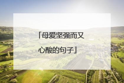 母爱坚强而又心酸的句子