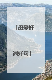 母爱好词好句