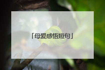 母爱感悟短句