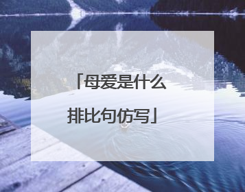 母爱是什么排比句仿写
