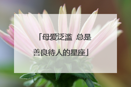 母爱泛滥 总是善良待人的星座