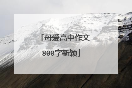 母爱高中作文800字新颖