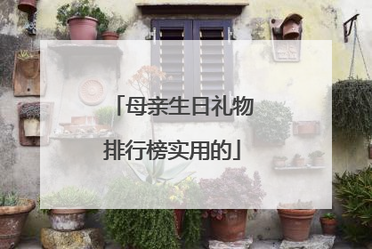 母亲生日礼物排行榜实用的