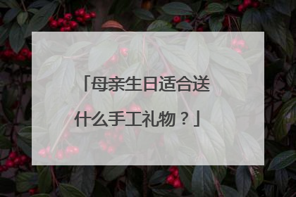 母亲生日适合送什么手工礼物?