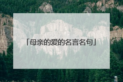 母亲的爱的名言名句