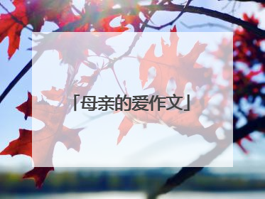 母亲的爱作文