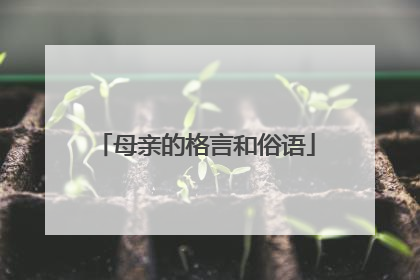 母亲的格言和俗语