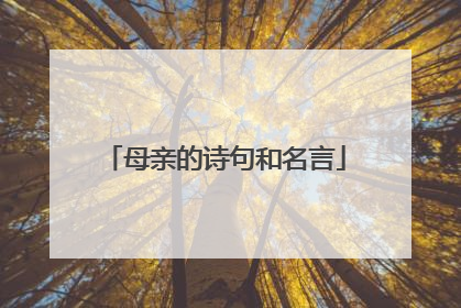 母亲的诗句和名言
