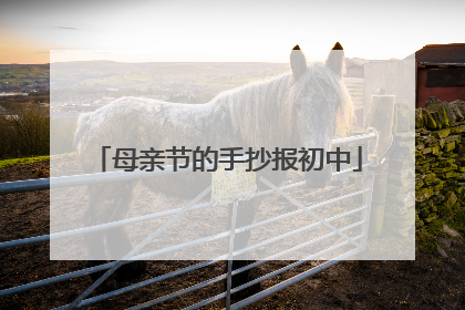 母亲节的手抄报初中