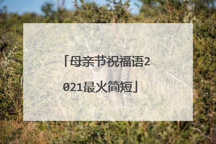 母亲节祝福语2021最火简短