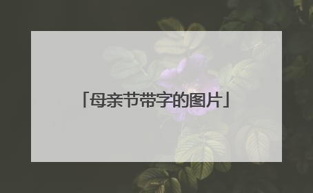 母亲节带字的图片