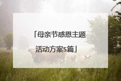 母亲节感恩主题活动方案5篇