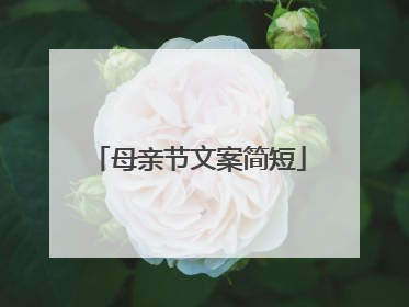 母亲节文案简短