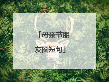 母亲节朋友圈短句