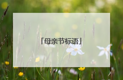 母亲节标语