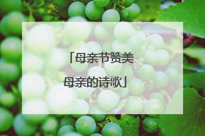 母亲节赞美母亲的诗歌