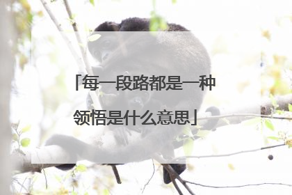 每一段路都是一种领悟是什么意思