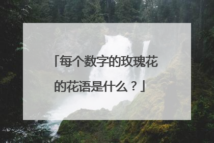 每个数字的玫瑰花的花语是什么？