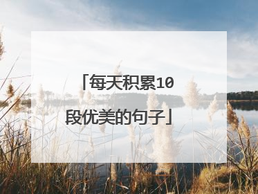 每天积累10段优美的句子