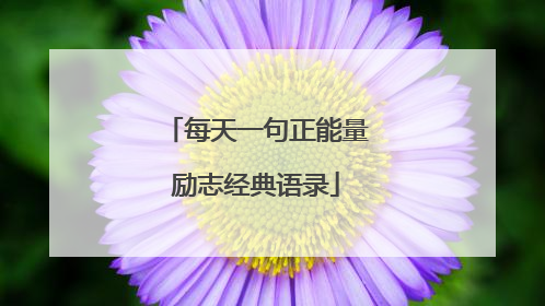 每天一句正能量励志经典语录