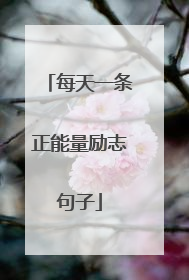 每天一条正能量励志句子