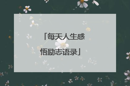 每天人生感悟励志语录