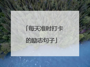 每天准时打卡的励志句子