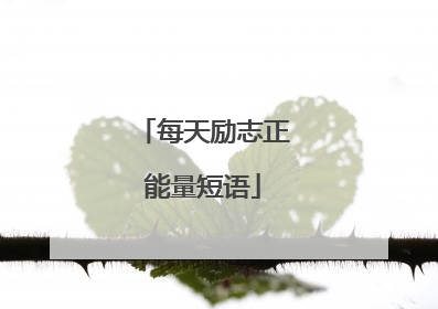 每天励志正能量短语