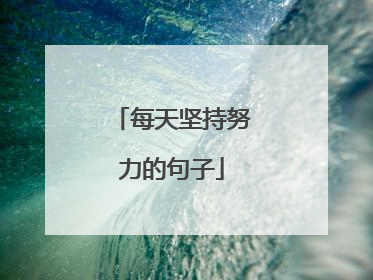 每天坚持努力的句子