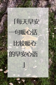 每天早安一句暖心话 比较暖心的早安心语