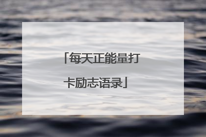 每天正能量打卡励志语录