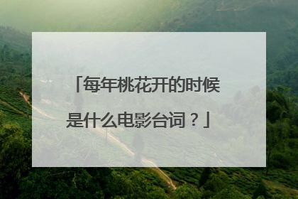 每年桃花开的时候是什么电影台词？