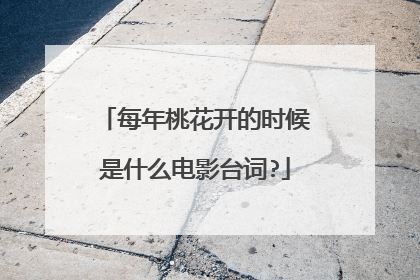 每年桃花开的时候是什么电影台词?