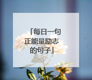 每日一句正能量励志的句子
