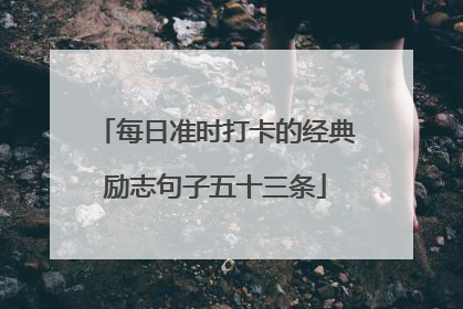 每日准时打卡的经典励志句子五十三条