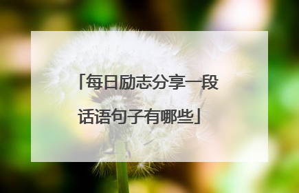每日励志分享一段话语句子有哪些