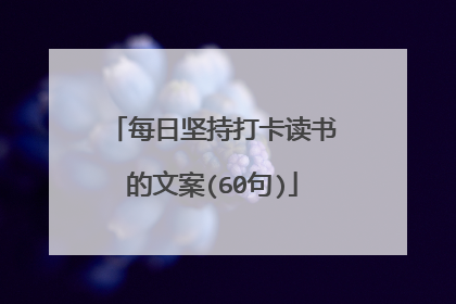 每日坚持打卡读书的文案(60句)