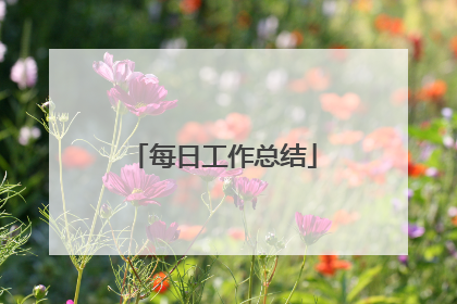 每日工作总结