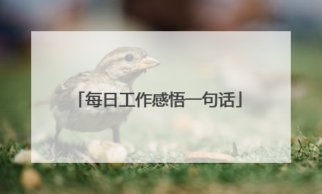 每日工作感悟一句话