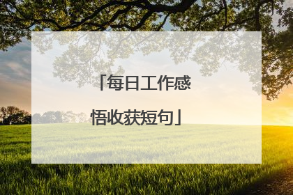 每日工作感悟收获短句