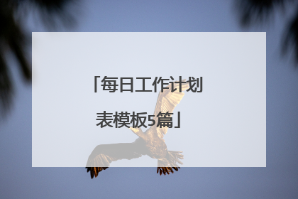 每日工作计划表模板5篇