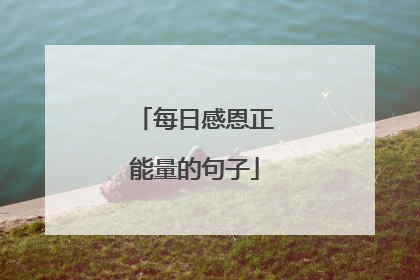 每日感恩正能量的句子