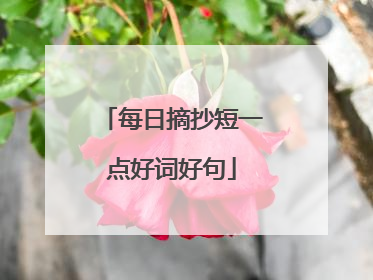 每日摘抄短一点好词好句
