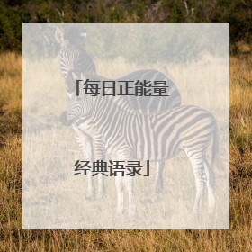 每日正能量经典语录