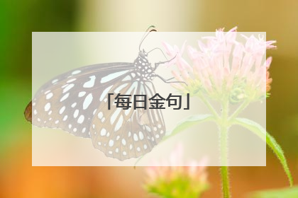 每日金句
