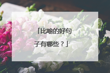 比喻的好句子有哪些？