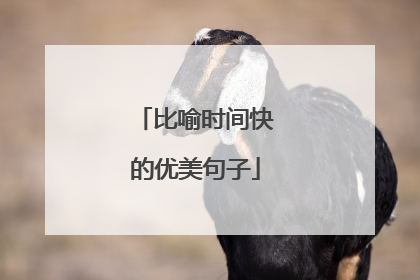 比喻时间快的优美句子